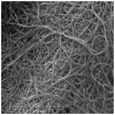 nanotubos de carbono de pared múltiple